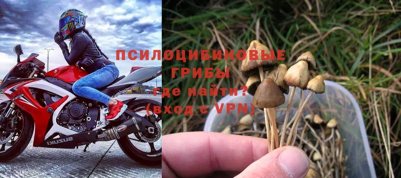 Галлюциногенные грибы MAGIC MUSHROOMS  площадка формула  Бор 